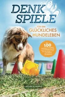 Denkspiele für ein